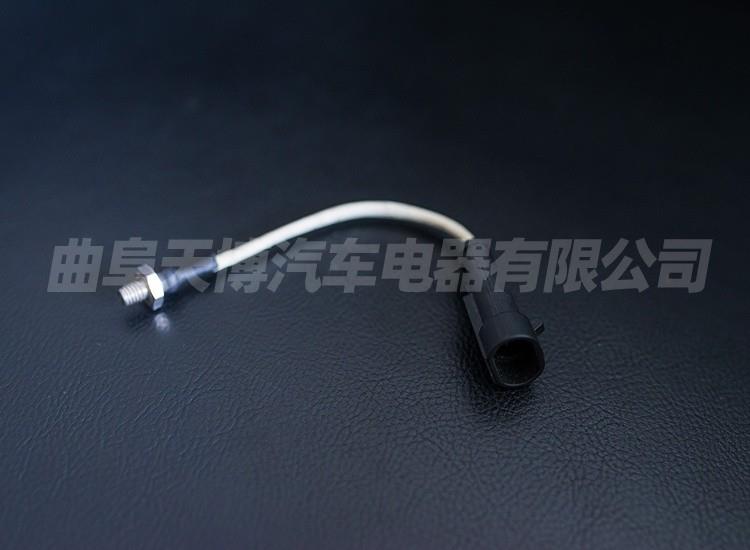 THERMO SENSOR