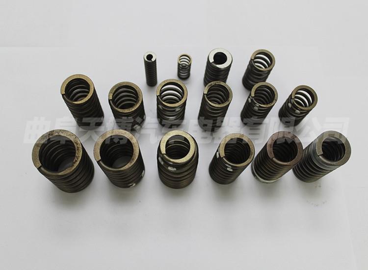 VALVE SPRING