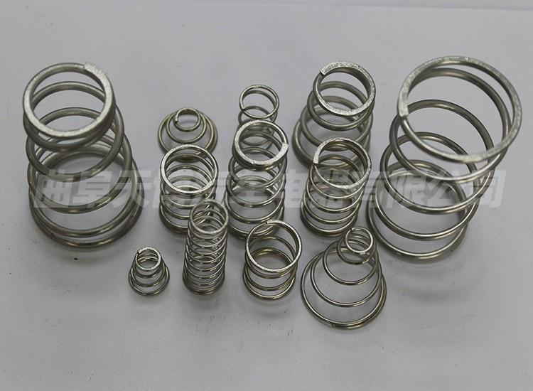 STAINLESS STEEL SPRING